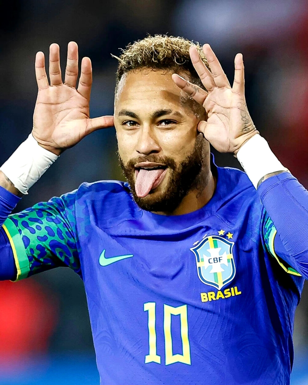 因梦想坚持 因梦想坚持