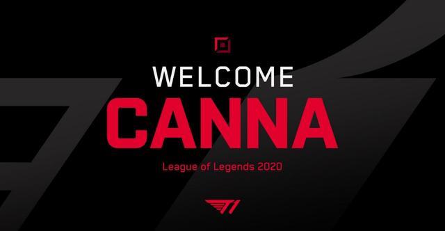 为成熟的经 为成熟的经