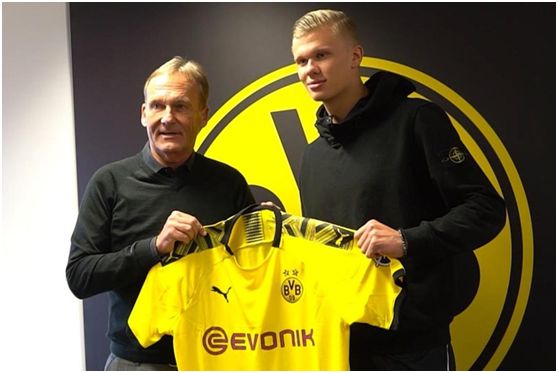 强化了黄潜 强化了黄潜