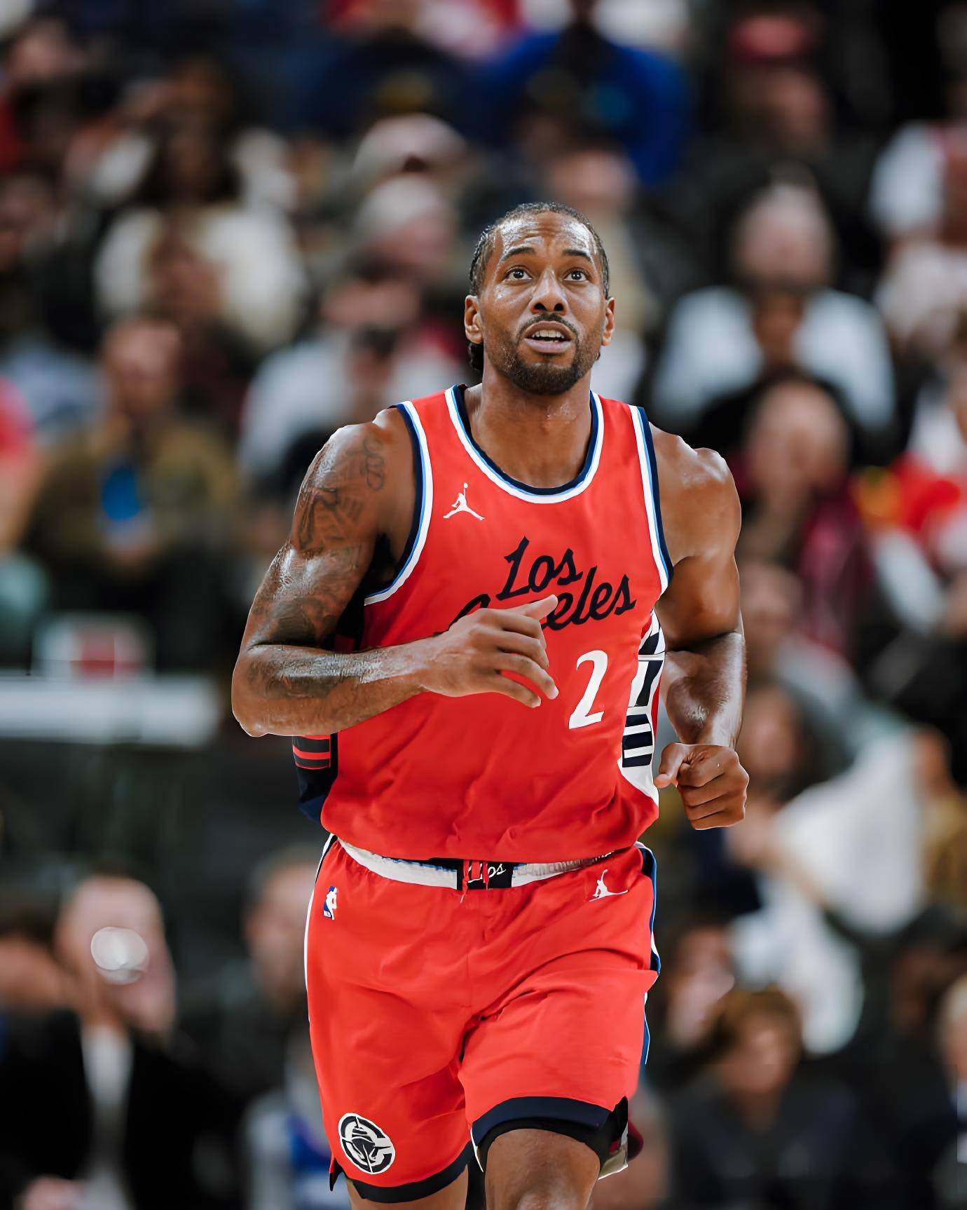 这一范式具 这一范式具